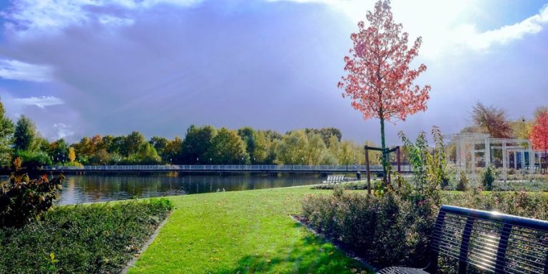 Just What Do Professional Perth Landscapers Do? - Landscape By Design