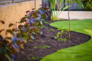 how to choose a landscape designer or landscaping company